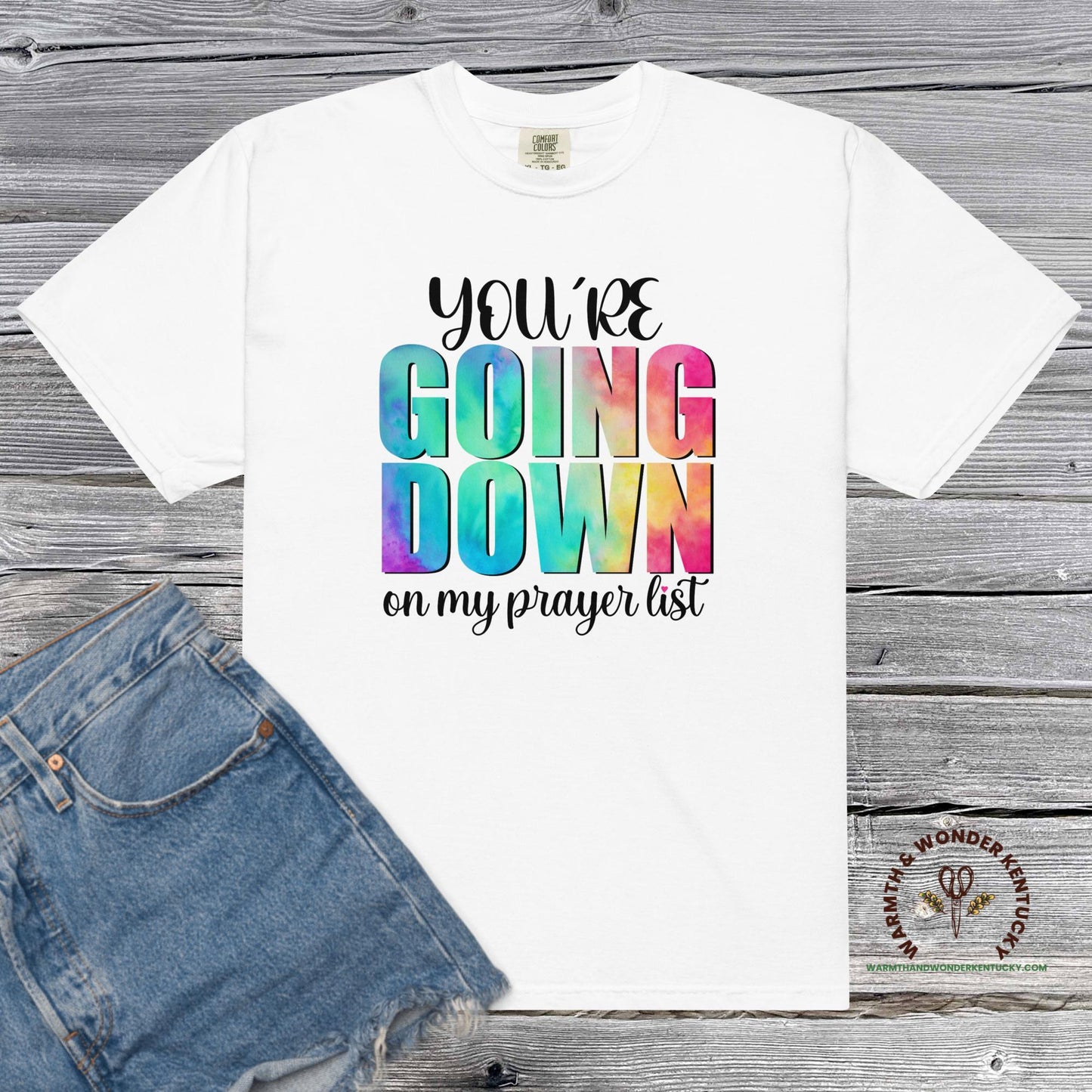 You're Going Down Unisex garment-dyed heavyweight t-shirt